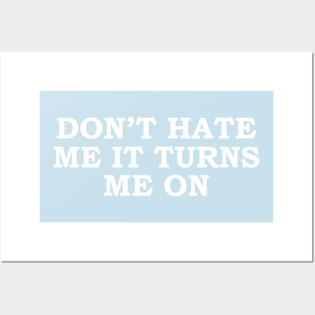 Sarcastic Saying Don't Hate Me It Turns Me On Funny Wall Art by EleganceSpace